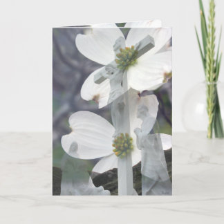 De Groeten van de kornoelje Kaart