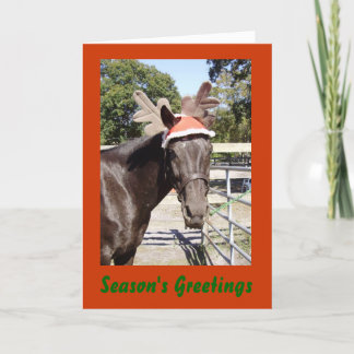De Groeten van het Seizoen van Horsey Feestdagen Kaart