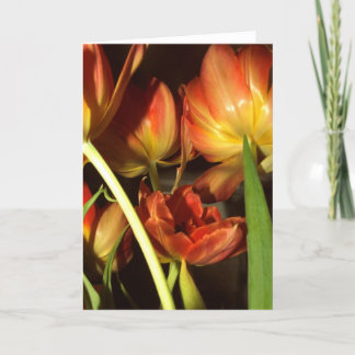 De groetenkaarten van tulpen kaart