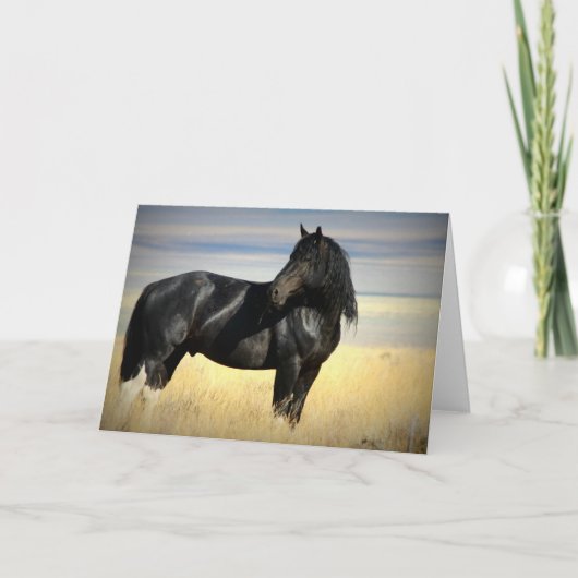 De groetkaart van de Hengst van de mustang Kaart (Voorkant)