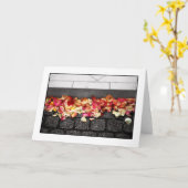 De GROND die U OP Kaart hebt GELOPEN (Gele Bloem)