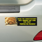De grondwet lezen? Is niemand... Bumpersticker (Op auto)