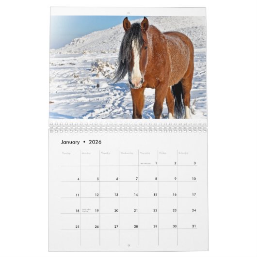 De grootste kleine mosterdkreeften van de stad 201 kalender (Jan 2026)