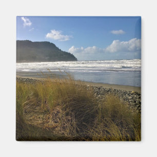 De grot, de zee, de oregon magneet