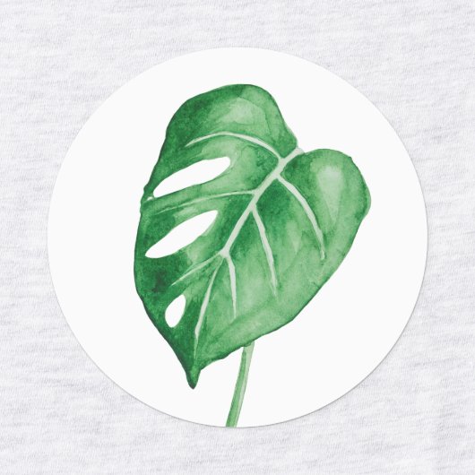 De grote bladeren van palmbomen en monstera labels (Design 2)