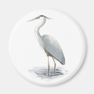 De grote Blauwe Magneet van de Reiger
