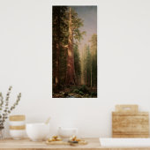 De grote bomen poster (Keuken)