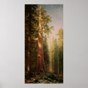 De Grote Bomen van Albert Bierstadt Poster