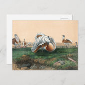 De Grote Bustard van Joseph Wolf Briefkaart (Voorkant / Achterkant)