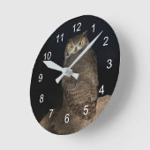 De Grote Gehoornde Uil van de achtertuin Ronde Klok (Hoek)