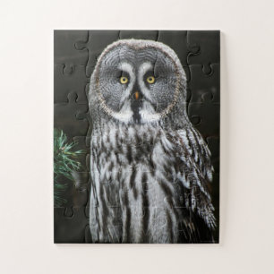 De Grote Grijze Owl 11x14 30pc jpcn Legpuzzel