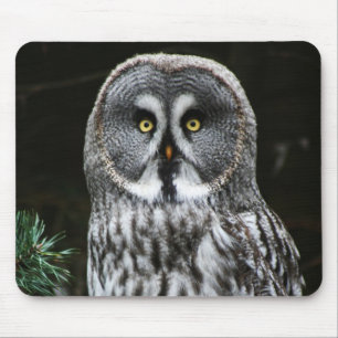 De Grote Grijze Owl mpcn Muismat