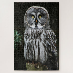 De Grote Grijze Uil 20x30 1014pc jpcnm Legpuzzel