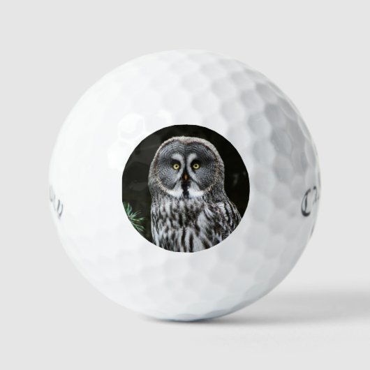 De grote grijze uil css gbcnm golfballen (Voorkant)