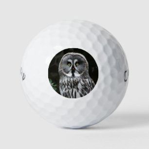 De grote grijze uil cwb gbcna golfballen