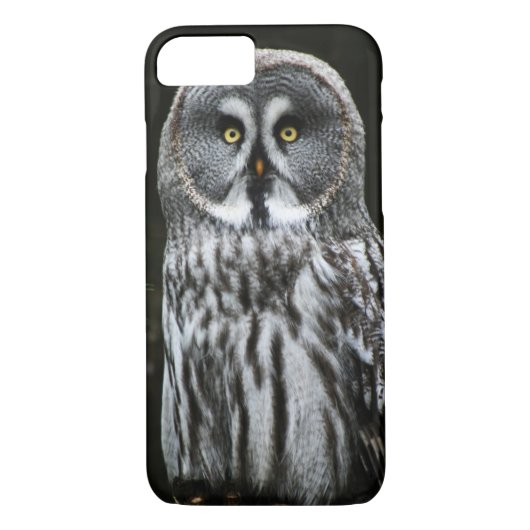 De grote grijze uil iph arc1 Case-Mate iPhone case (Achterkant)