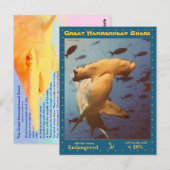 De Grote Hammerhead Shark is bedreigd, a - Briefkaart (Voorkant / Achterkant)
