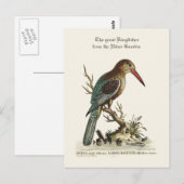 De grote Kingfisher uit de Gambia Briefkaart (Voorkant / Achterkant)