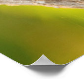 De grote Kiskadee belt vanuit de baard Poster (Hoek)