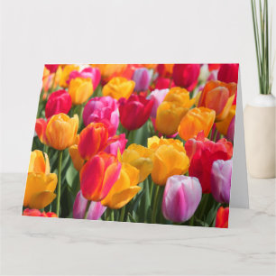 De grote Lente van de Kaart bij Gedaalde Gardens1