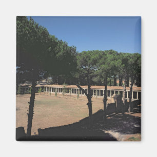 De Grote Palaestra Magneet