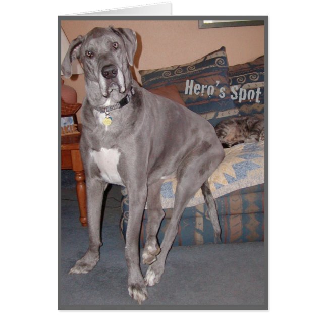 De grote pot van Dane Hero op de Couch (Voorkant)