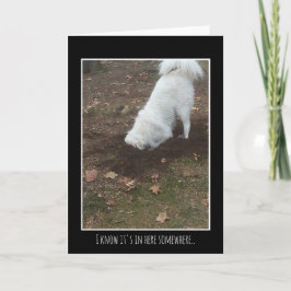 De grote Pyreneeën Kaart