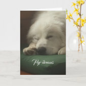 De grote Pyreneeën Kaart (Gele Bloem)