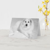 De grote Pyreneeën, Zachte Reus 5 Kaart (Gele Bloem)