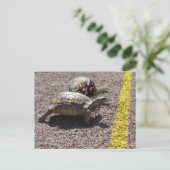 De Grote Race Briefkaart (Staand voorkant)