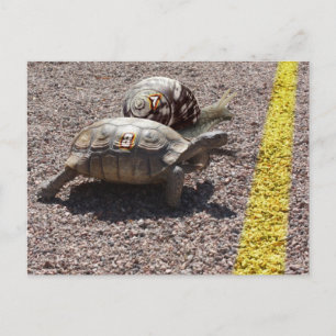 De Grote Race Briefkaart