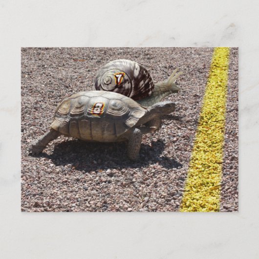 De Grote Race Briefkaart (Voorkant)