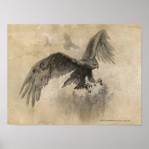 De grote Schets van Eagles Poster