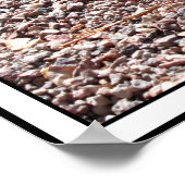 De grote schildpad en slakkenas poster (Hoek)