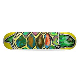 De grote schildpad skateboard
