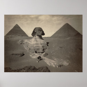 De Grote Sfinx van Giza, Egypte - Poster