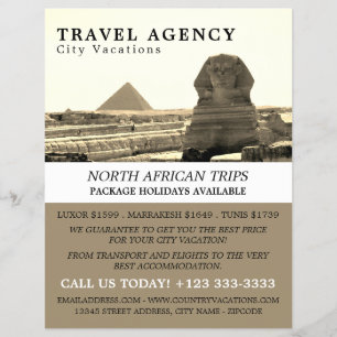 De Grote Sfinx van Giza, Egypte, Reisbureau Flyer