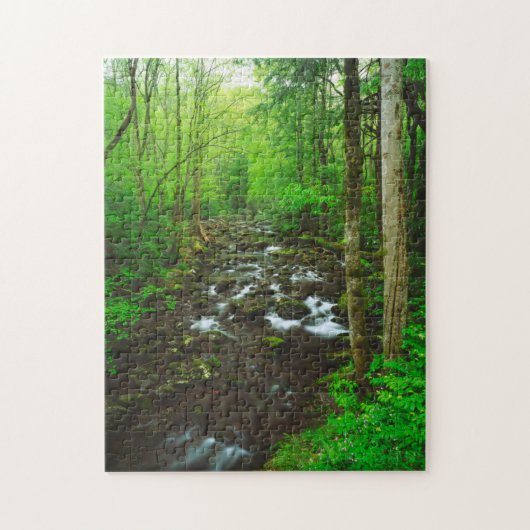De Grote Smoky Mountains Legpuzzel (Verticaal)
