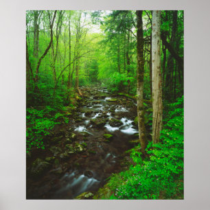 De Grote Smoky Mountains Poster