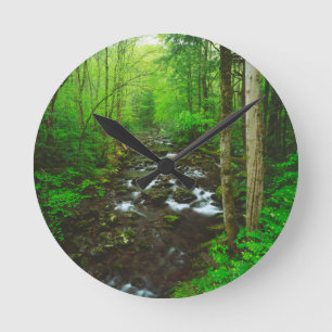 De Grote Smoky Mountains Ronde Klok