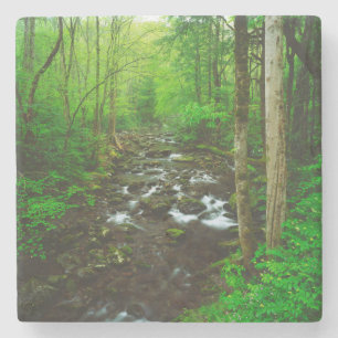 De Grote Smoky Mountains Stenen Onderzetter