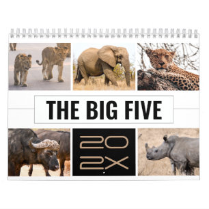 De Grote Vijf Wilde Dieren Afrikaanse Safari Foto Kalender