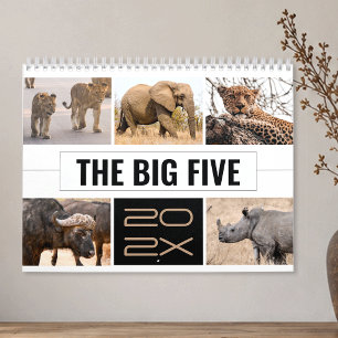 De Grote Vijf Wilde Dieren Afrikaanse Safari Foto Kalender
