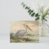 De grote Witte Illustratie van de Vogel van de Briefkaart (Staand voorkant)