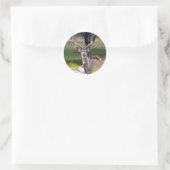 de grotere kudu-9 ronde sticker (Tas)