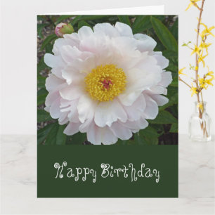 De Groupe Xtra Grande carte d'anniversaire/floral