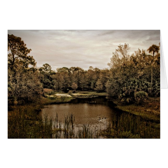 De grove (Voorkant Horizontaal)