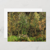 De Grove van Vincent van Gogh (Voorkant / Achterkant)