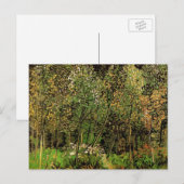 De Grove van Vincent van Gogh Briefkaart (Voorkant / Achterkant)