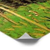 De Grove van Vincent van Gogh Poster (Hoek)